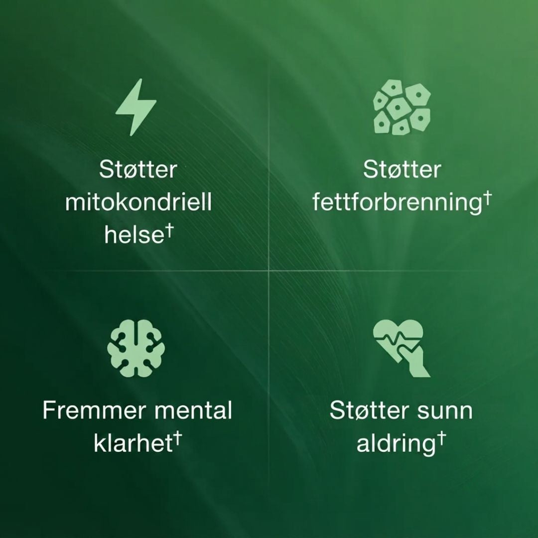 Amla Superfrukt Kapsler