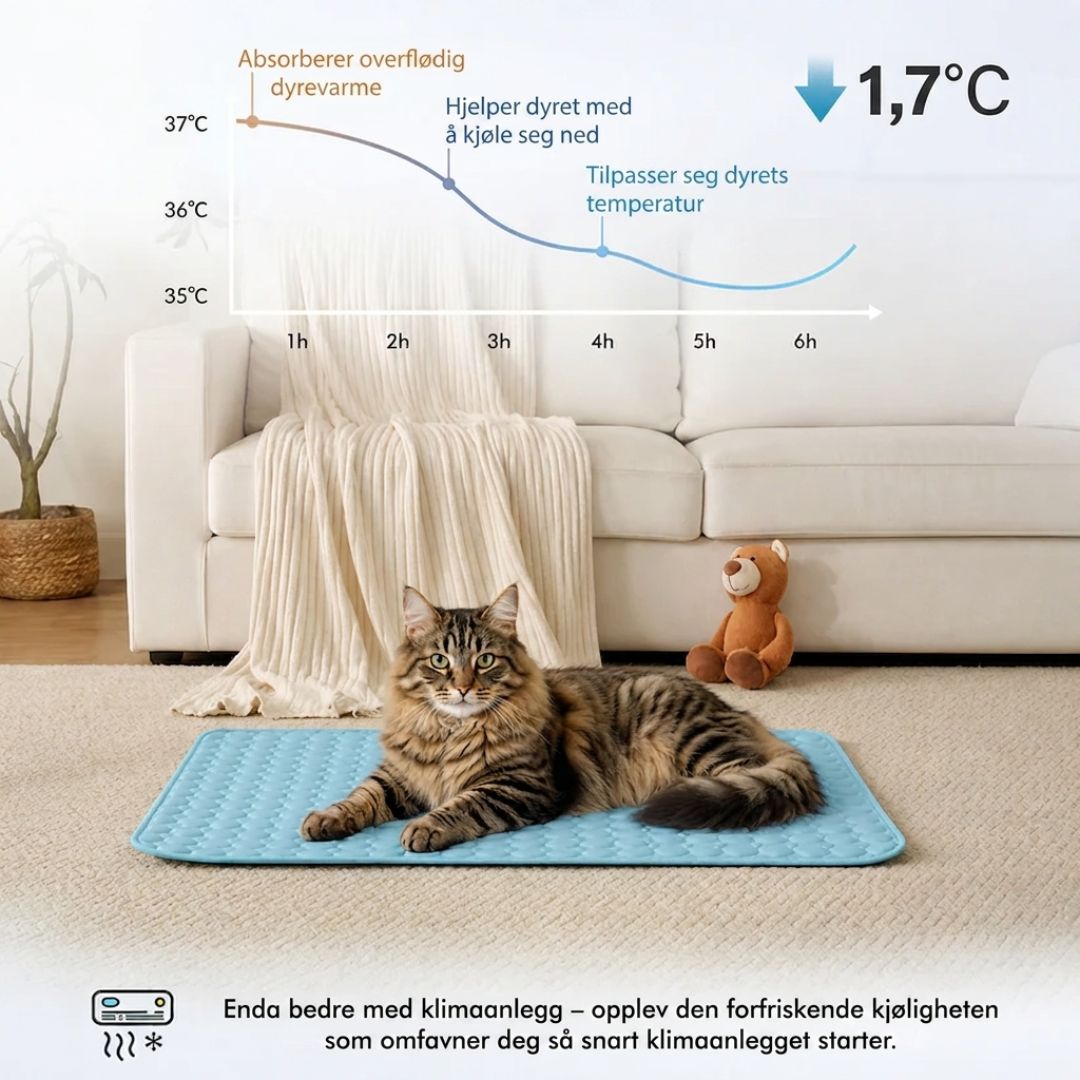 Beskytt katten din mot heteslag med Lorvea™ Kjølematte